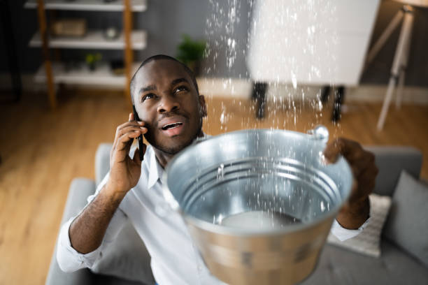 Best Water damage restoration cost  in Timpson, TX