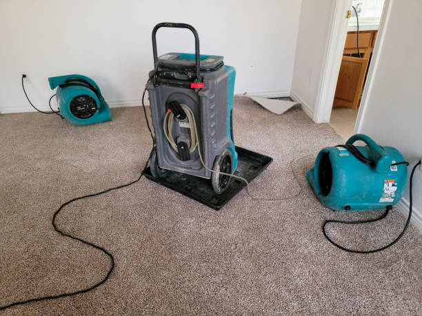 Best Emergency water damage restoration  in Timpson, TX