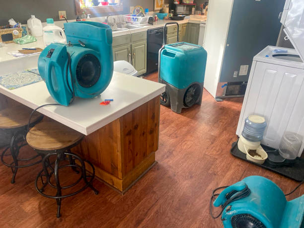 Best Water damage cleanup near me  in Timpson, TX