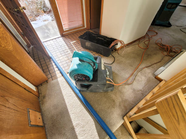 Best Flood restoration services  in Timpson, TX
