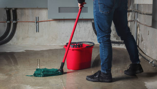 Best Carpet water damage restoration  in Timpson, TX
