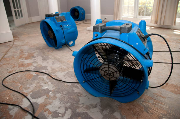Best Water damage restoration near me  in Timpson, TX