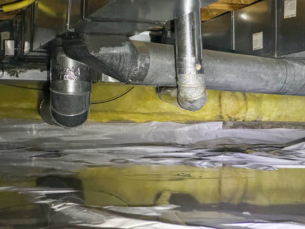 Best Fire Damage Restoration  in Timpson, TX