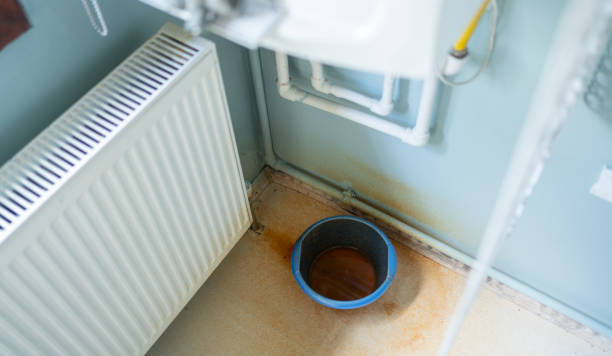 Best Mold removal after water damage  in Timpson, TX