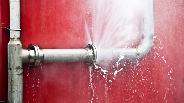 Best Local water damage restoration  in Timpson, TX